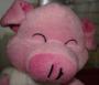 s Bild