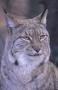 s Bild