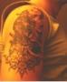 s Bild