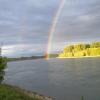 s Bild
