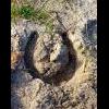 s Bild